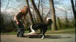 1/3 BEST OF SPEEDY MY BORDER COLLIE 2007-2009 with english subtitles / Compilation/video clip