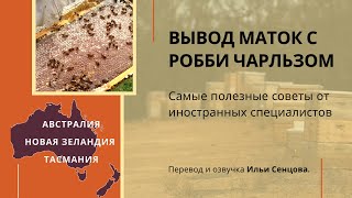 Вывод маток с Робби Чарльзом (Тасмания, Австралия)