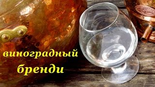 Виноградный невыдержанный бренди. Тест португальского аламбика