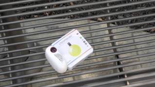 Pocket Projector  LG Mini Beam Nano Review!