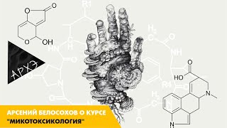 Курс "Микотоксикология" от Арсения Белосохова