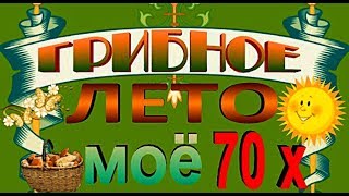 ВНИМАНИЕ !!! Моё грибное лето 70х (ДЕБЮТ) - Алексей Доктор Леший -  бард
