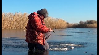 В этой Реке Полно РЫБЫ А клюет только на проводку