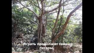 Ретрит с Зареем в Индии Я-Сейчас-Е! Часть 1