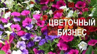 Говорим о цветочном бизнесе с Любой (leoflora)