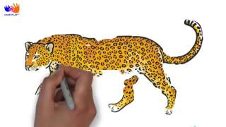 Learn Sea Animals SUPER SIMPLE   Animal Sounds Songs for Kids   Hand Play TV