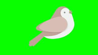 Футажи на хромакее: bird/птица