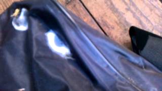 Spider Jumping Out Of Cocoon of Some Sort?