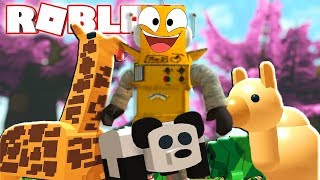 СИМУЛЯТОР ВЫРАЩИВАНИЯ ПИТОМЦЕВ! Вырастил ПАНДУ и построил ферму в Roblox Feed your pets