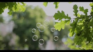 II Фестиваль этичного творчества УралВеганФест в Челябинске