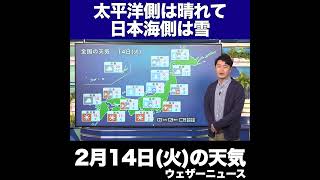 【夜の1分天気】あす2023年2月14日(火)の天気 #shorts