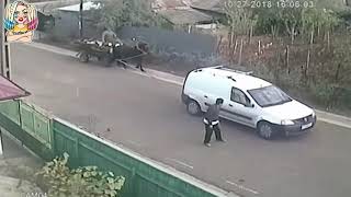 Деревня дураков в реальности / Meanwhile in Russia