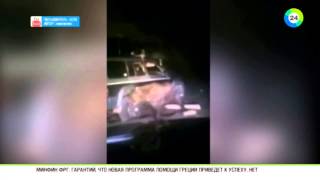 На Сахалине живодеры проехались по медведю на внедорожнике