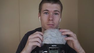 ASMR Furry Windshield Brushing For Sleep