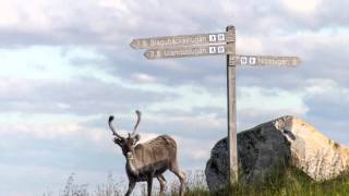 Schwedische Momente 2015