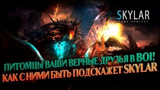 Skylar: Battle of the Immortals гайд по питомцам