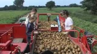 Grimme Картофель