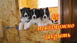 Девочка - СУПЕРМЭН