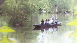 Bootssafari auf dem Rhein