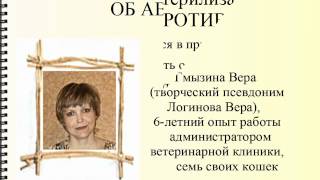 кастрация котов и кошек