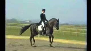 Clive Halsall riding the Stallion Roulette