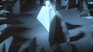 Белая птица /  White Bird