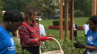 Melania Trump plants and harvests in White House Garden