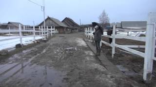 Простые способы осушения территории участка