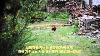 원허 지운스님[서울] 해심밀경 제3강 '각 품의 이해' (음성강의).