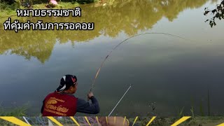 ระเปิดหมายธรรมชาติ มันสุดติ่งคุ้มค่าจริงๆกับสิ่งที่ได้เจอ