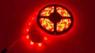 Mokungit WS2811 auto led strip magic color lighting