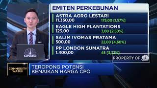 Ekonom Proyeksi Harga CPO 2021 Bisa di Kisaran USD 730/ton