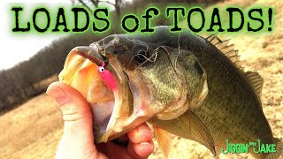 I Haven't FISHED this spillway since 1997 (LOADS of TOADS)