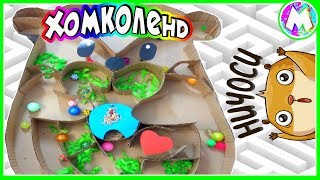 Лабиринт для ХОМЯКОВ в виде ХОМЯКА ? / Хомяки в диснейленде / ХОМКОЛЕНД // Вместе с Машей