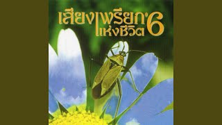 คำสาบาน_รอน อรัณย์
