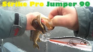 Ловля щуки осенью на спиннинг. STRIKE PRO JUMPER 90 SP.