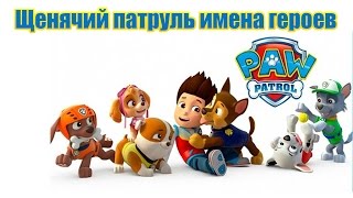 Щенячий патруль имена щенков