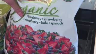 Triple berry spinach and kale smoothie