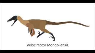 PPBA Velociraptor vs Troodon