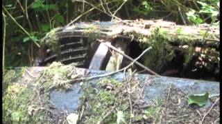 41 Chevy Barn Find in the Weeds Edition