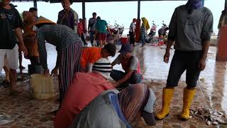 Pelelangan Ikan Cituis ~ Surya Bahari - Tangerang