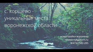 купить дом бобровский район|коршево|река битюг