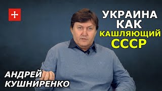 Система здравоохранения Украины напоминает кашляющую советскую систему. Андрей Кушниренко