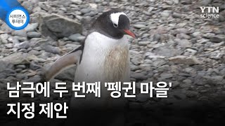 남극에 두 번째 '펭귄 마을' 지정 제안 / YTN 사이언스