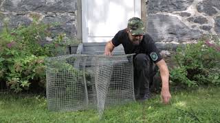 Безопасная для нерп катиска