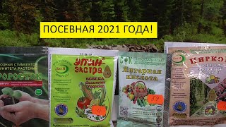 Чем обработать семена для стимуляции перед посевом 2021? 