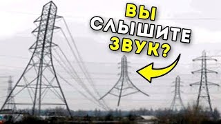 80% ЛЮДЕЙ СЛЫШАТ ЗВУКИ В ЭТИХ GIF. А ВЫ СЛЫШИТЕ?