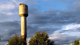 Аист - птица гордая и большая