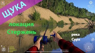 Русская рыбалка 4 - река Сура - Щука среди пеньков