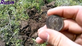 Монета (царица полей) кладоискатель